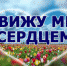 Социальная поддержка инвалидов по зрению - Пенсионный фонд