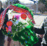 786 - GorodnaBire.Ru