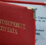 У депутата, указавшего доход за год в три копейки, нашли скрытый заработок - Время Биробиджана
