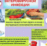 Профилактика энтеровирусной   инфекции. - Роспотребнадзор