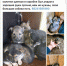 . Фото: Добрые руки - ИА Eaomedia.Ru