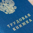 Раскрыто отношение россиян к работе «на удаленке» - Единая Россия