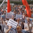 Хабаровчане седьмую субботу подряд вышли на митинг протеста - Время Биробиджана