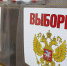 В ЕАО началось досрочное голосование - Законодательное Собрание ЕАО