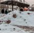 2383977.jpg - ИА Eaomedia.Ru