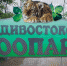 Вдвое дороже, чем в Москве — зоопарки Приморья взвинтили ценник - ИА Eaomedia.Ru