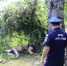 "Уставших" в стельку пьяных рыбаков обнаружили спасатели на Невском заливе в Биробиджане - ИА Eaomedia.Ru