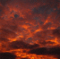2559222.jpg - ИА Eaomedia.Ru