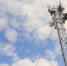 Клиенты Tele2 в Ленинском лидируют по потреблению 4G-интернета в ЕАО - РИА Биробиджан