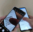 Бизнес-омбудсмен ЕАО: Ввести QR-коды предпринимателям в любом случае придется - ИА Eaomedia.Ru