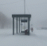Опрос «Набата». Как Вы оцениваете работу местных властей и коммунальных служб по преодолению последствий снегопада на территории ЕАО? - Интернет-газета Набат
