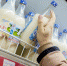 Приостановка работы местного производителя молочной продукции повлияла на инфляцию в ЕАО  - ИА Eaomedia.Ru