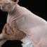 2724714.jpg - ИА Eaomedia.Ru