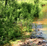 Опасное явление: уровни воды в реках ЕАО растут - ИА Eaomedia.Ru
