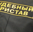 Судебные приставы остановят исполнительные производства в отношении попадающих под частичную мобилизацию жителей ЕАО - РИА Биробиджан