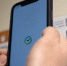 Платить телефоном по QR-коду Сбера теперь могут и клиенты Альфа-Банка - РИА Биробиджан