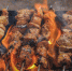 Больше трети россиян отметили рост цен на мясо и птицу - Интернет-газета Набат