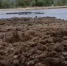 3760813.jpg - ИА Eaomedia.Ru