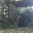 3905973.jpg - ИА Eaomedia.Ru