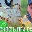 Вячеслав Тимашков: следует соблюдать осторожность во время охоты на водоплавающую дичь - МЧС России