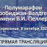Самые яркие моменты полумарафона им. В. Пеллера – в прямой трансляции РИА Биробиджан - РИА Биробиджан