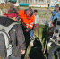 Новые деревья появились на улице Денисова и в Сквере железнодорожников в г. Облучье ЕАО - РИА Биробиджан