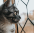 Тематическое фото. freepik.com - ИА Eaomedia.Ru
