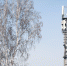 Tele2 улучшила связь во всех регионах присутствия – итоги 2023 года - РИА Биробиджан