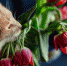 Тематическое фото freepik.com - ИА Eaomedia.Ru
