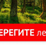 На территории ЕАО действует пожароопасный период - Администрация г. Биробиджан