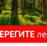 На территории ЕАО действует пожароопасный период - Администрация г. Биробиджан