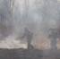 Задымление в Биробиджане из-за пала сухой травы - МЧС России