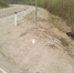 11299-800x600_1.jpg - GorodnaBire.Ru