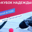 Заключительный турнир сезона 2023-2024 годов по хоккею с мячом (6+) пройдёт в Биробиджане завтра, 11 мая - РИА Биробиджан