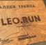 Кедровая аллея Leo.Run Беговой спортклуб &quotDNS&quot - ИА Eaomedia.Ru