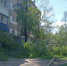 Полностью устранить повреждения на электросетях в ЕАО планируется сегодня, к 20 часам - Правительство Еврейской автономной области