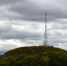 799035.jpg - GorodnaBire.Ru