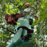917723e4-5ee4-4515-93fe-cb78ecff11c4_1.jpeg - GorodnaBire.Ru