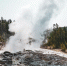 beautiful-fog-rising-from-the-ground-near-the-trees-captured-in-yellowstone-national-park-usa_1_1.jpg - GorodnaBire.Ru