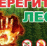 Ограничения на пребывание в лесах введены на территории ЕАО - Администрация г. Биробиджан