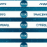 Лучшие детские команды Дальнего Востока борются за победу в Кубке Федерации хоккея ЕАО — трансляция - РИА Биробиджан