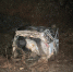 obzornoe_foto_22-800x600.jpg - GorodnaBire.Ru