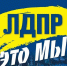 Анонс митинга в честь дня народного единства - ЛДПР