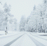 wide-shot-road-fully-covered-by-snow-with-pine-trees-both-sides-car-traces_2_2.jpg - GorodnaBire.Ru