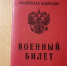 Шестерых бывших мигрантов поставили на воинский учёт в Биробиджане за неделю - РИА Биробиджан