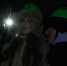 abc200e9-b2fb-46a2-8595-8c234f76f546_1.jpeg - GorodnaBire.Ru