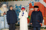 Марафон новогодних елей завершился в ЕАО