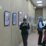 Тематическая выставка картин открылась в музее современного искусства ЕАО - РИА Биробиджан