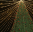 8dd8101d-466b-4637-a8cc-91713ce9f986.jpeg - GorodnaBire.Ru