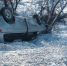 1000553486_2_1.jpg - GorodnaBire.Ru